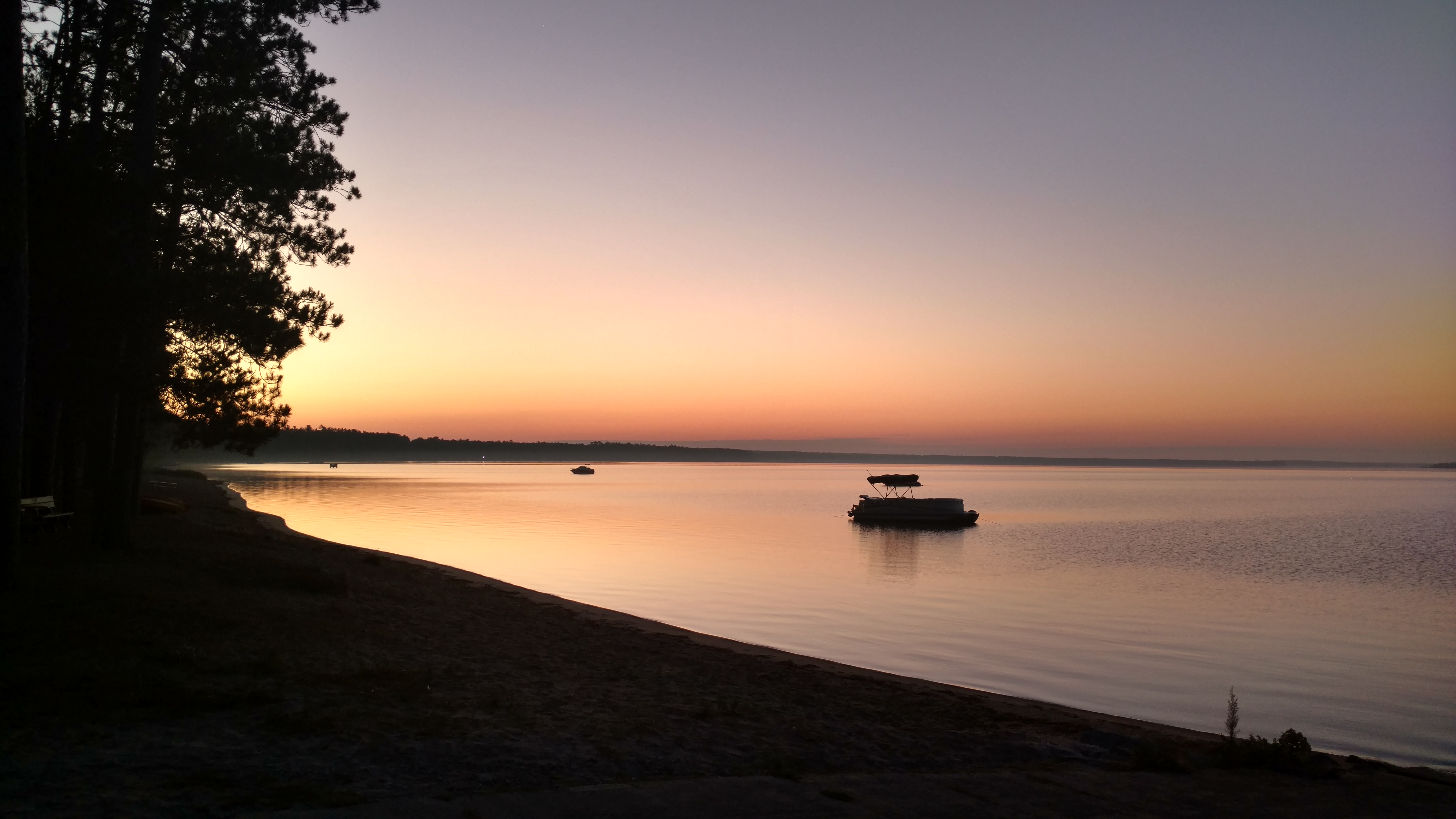 Higgins Lake shoreline in summer